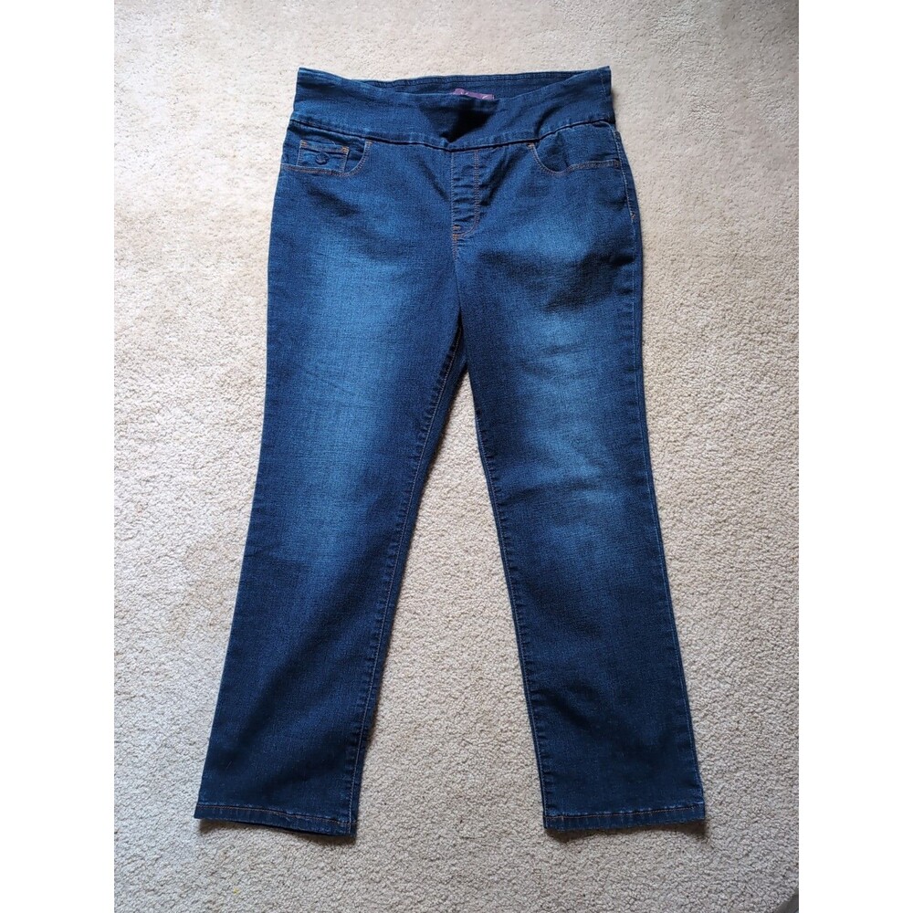 GLORIA VANDERBILT Jeans WOMEN'S 14P Amanda style Straight Leg High Rise